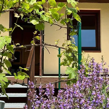 Reki Holiday home *
